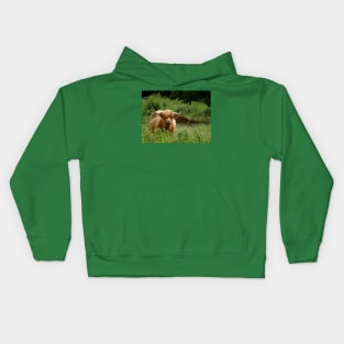 Highland cattle in field Kids Hoodie